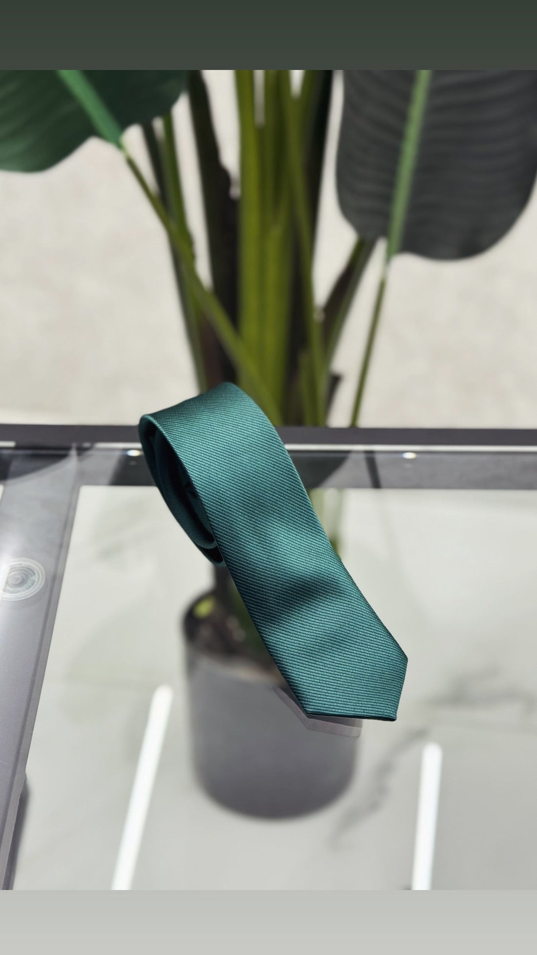 Cravattino Basic opaco